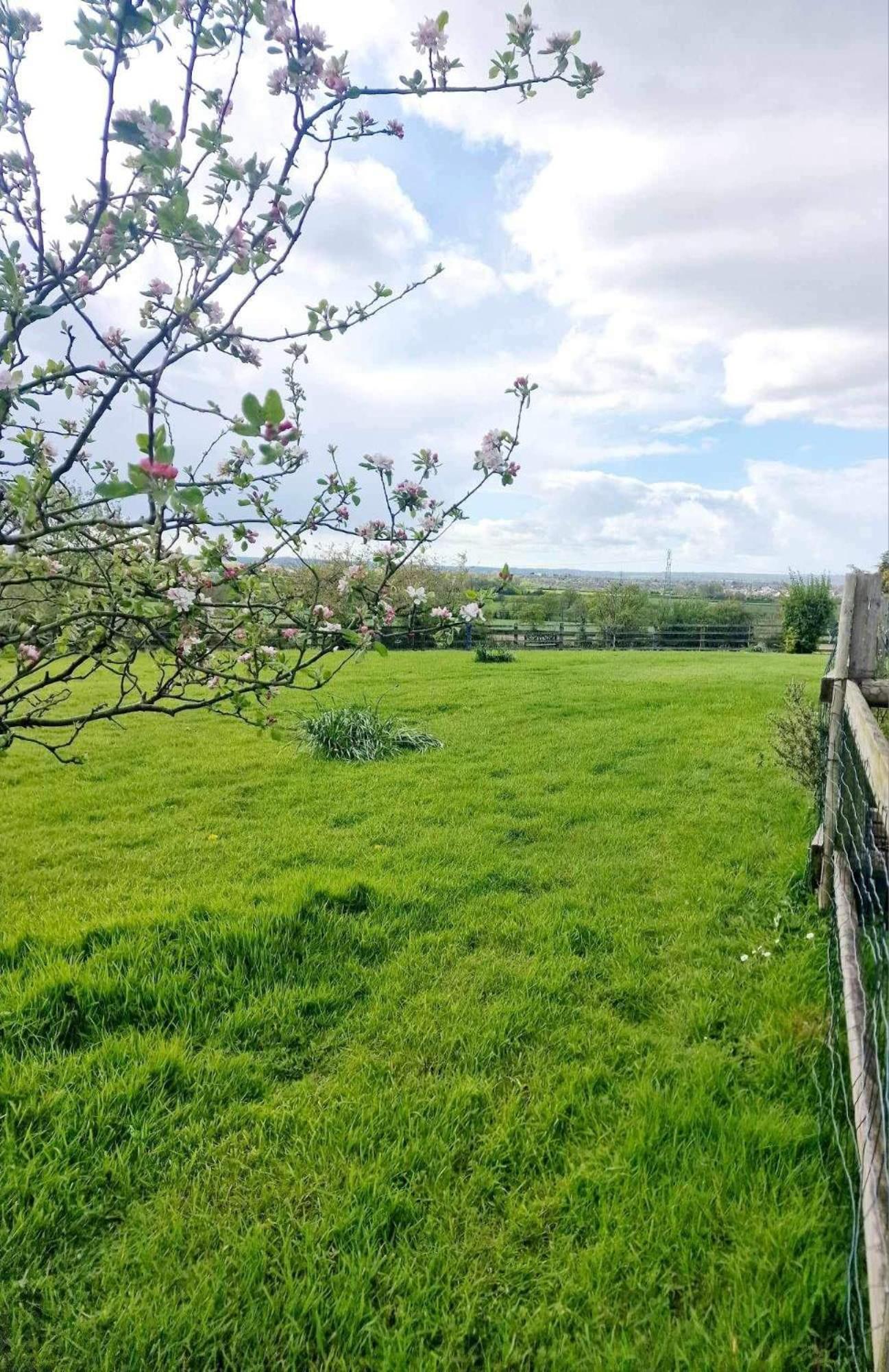 Tanglewood Daire West Ashton Dış mekan fotoğraf